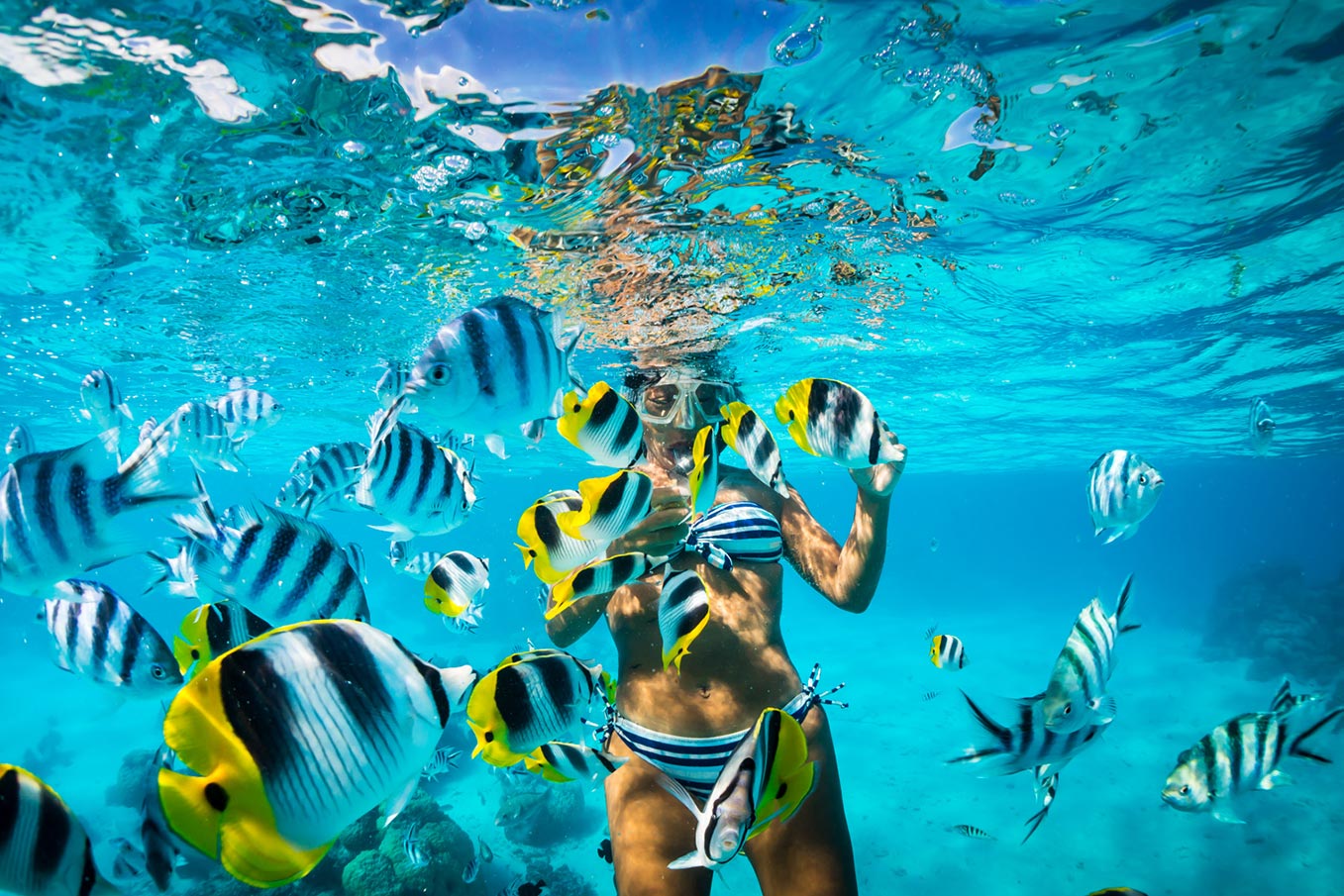 SNORKEL-ISLA-CATALINA--1357x905px---Stay-Happy-RD Snorkel Isla Catalina - Tours / Excursiones - Stay Happy RD